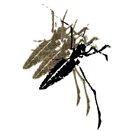 Long-horned beetle