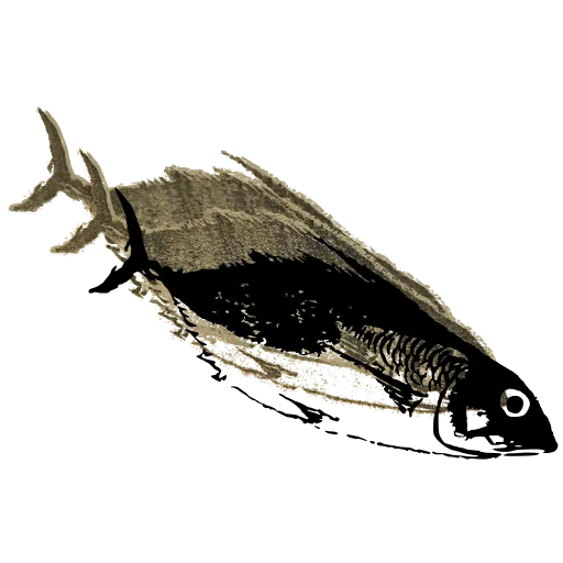 Fish 02