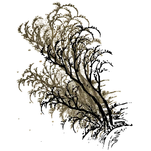 Bare tree on a bank