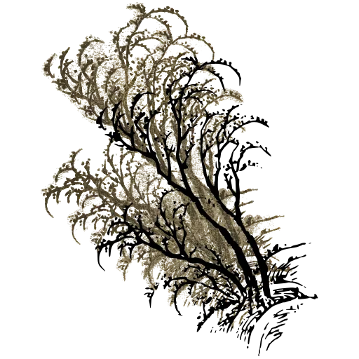 Bare tree on a bank