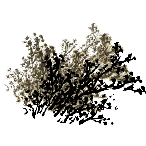 Blossom branch 01