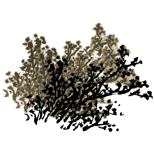 Blossom branch 01