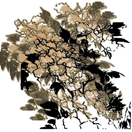 Blossom cluster 01