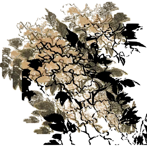 Blossom cluster 01