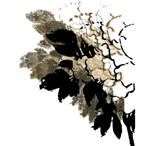 Blossom branch 02