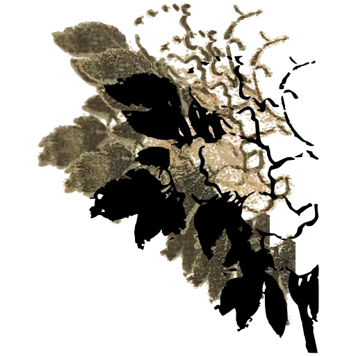 Blossom branch 02