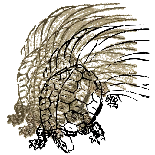 Turtle with a hairy tail 02