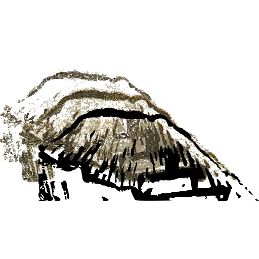 Thatched roof 02