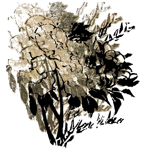 Blossom branch 03