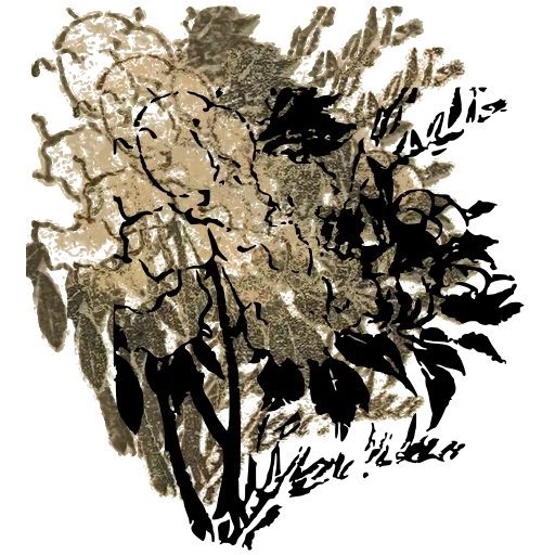 Blossom branch 03