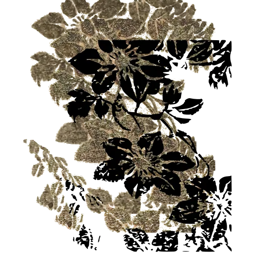 Blossom cluster 02