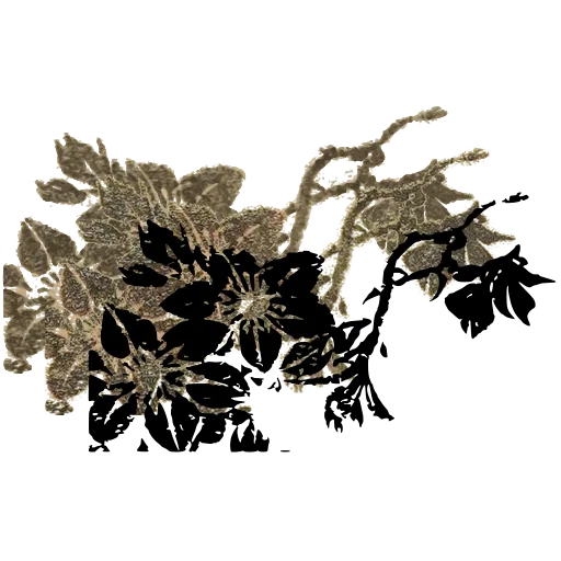 Blossom branch 04