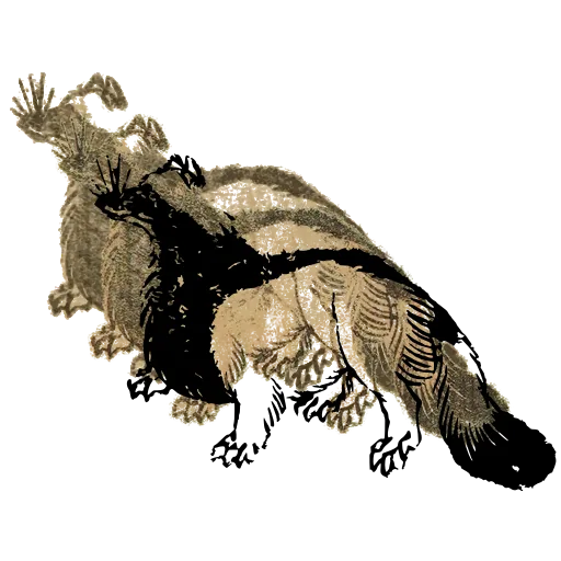 Bushy-tailed fox