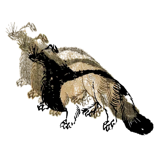 Bushy-tailed fox