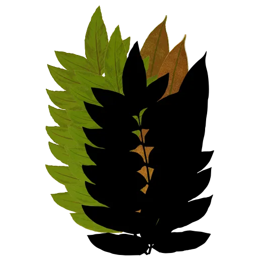 Overlapping pinnate fronds
