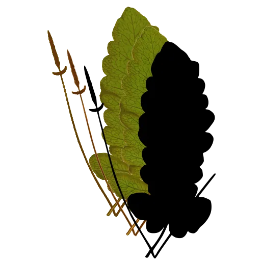 Fern spore spike