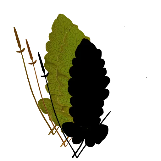 Fern spore spike