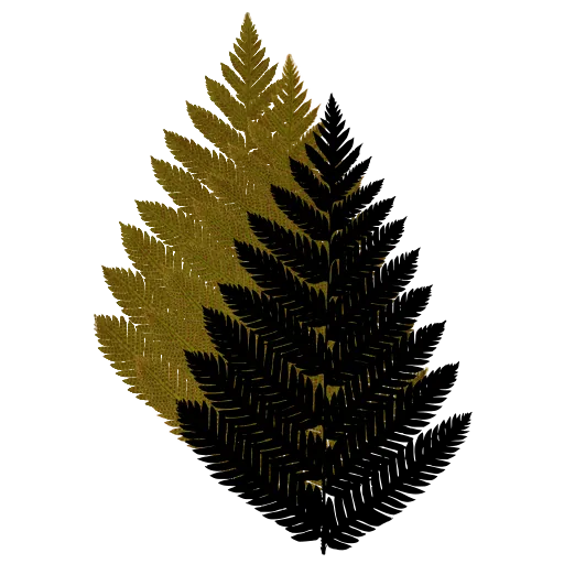 Bushy feathery fern frond