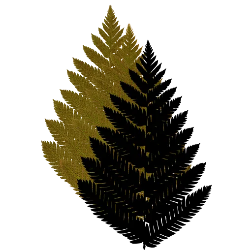 Bushy feathery fern frond