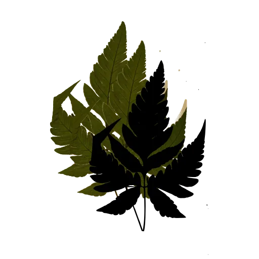 Jagged-lobed fern frond