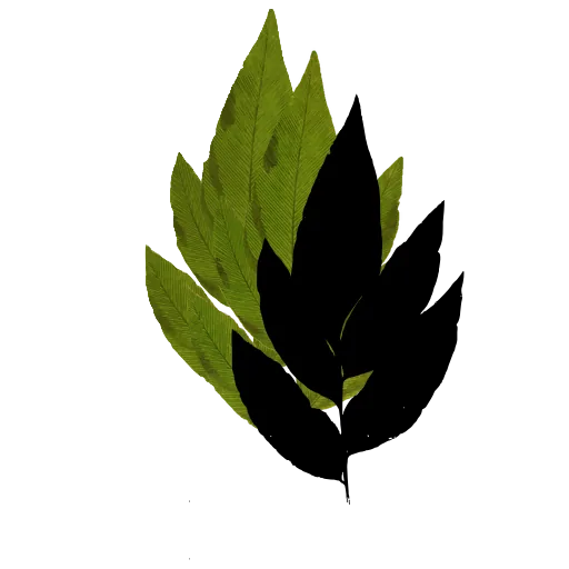 Fern frond with broad lobes