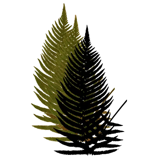 Triangular feathery frond