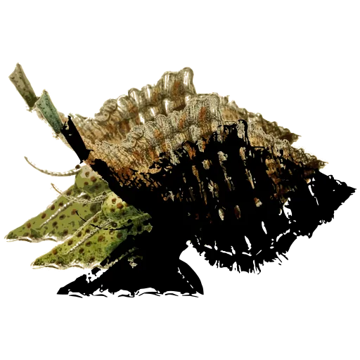 Latticed shell