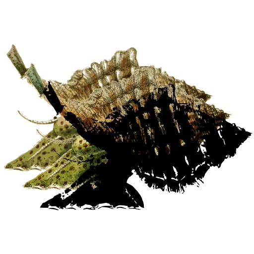 Latticed shell