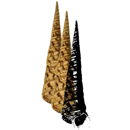 Turret shell