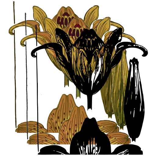 Flower in section 02