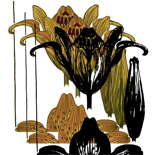Flower in section 02