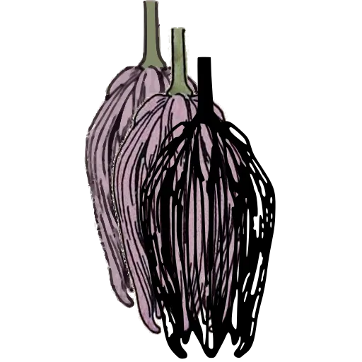 Closed bud study