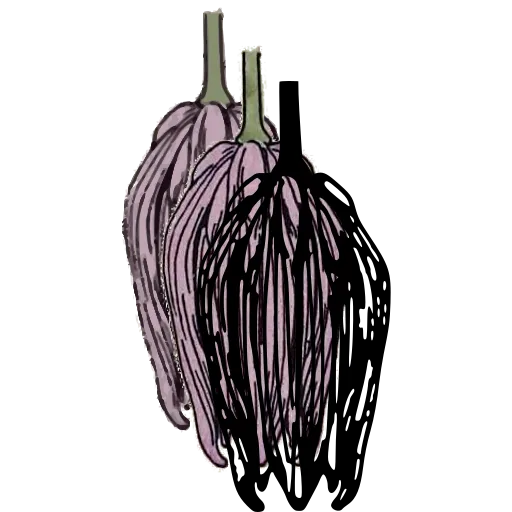 Closed bud study