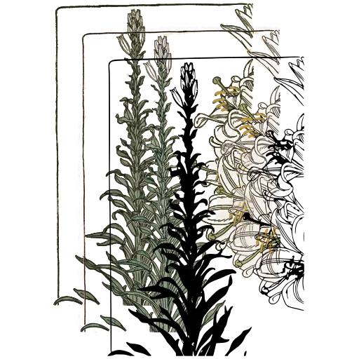 Flower spike plate