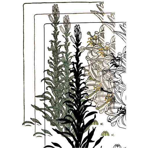 Flower spike plate