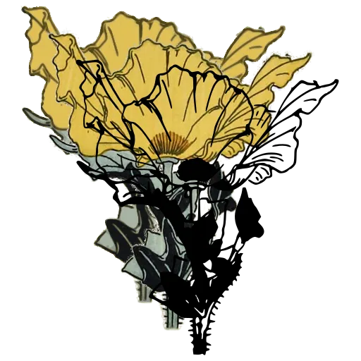 Poppy spray