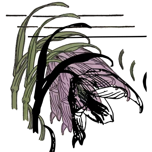 Drooping bud study