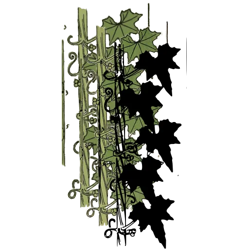 Ivy border strip 02