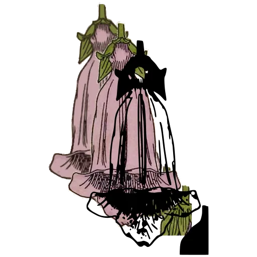 Bell flower study 02