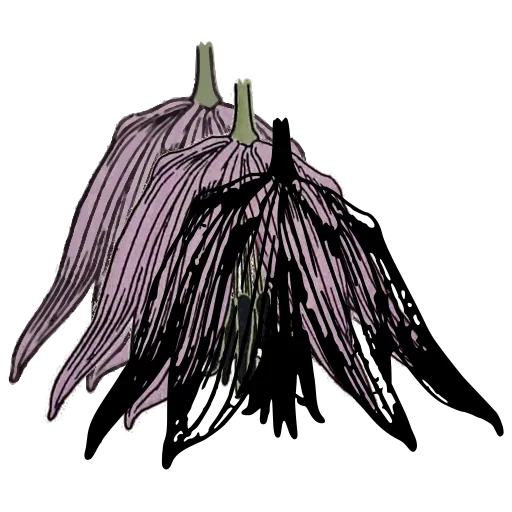 Drooping bell flower