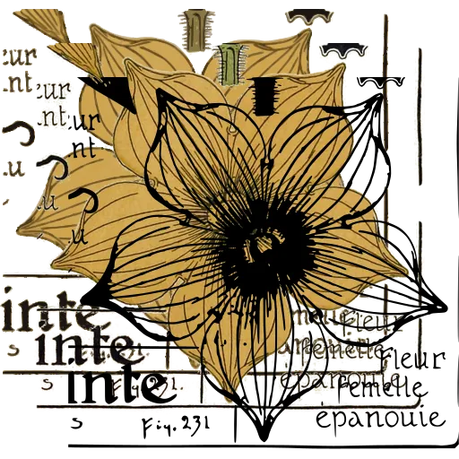 Open flower diagram