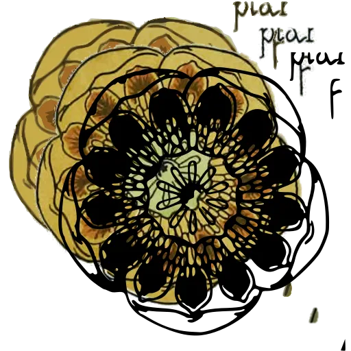 Petal rosette design
