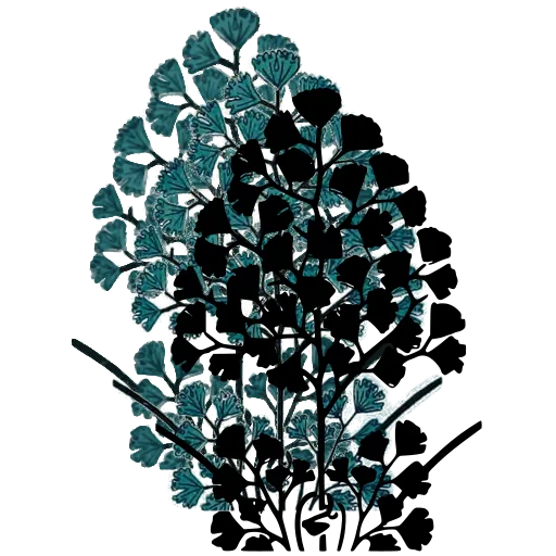 Stylised maidenhair fern silhouette