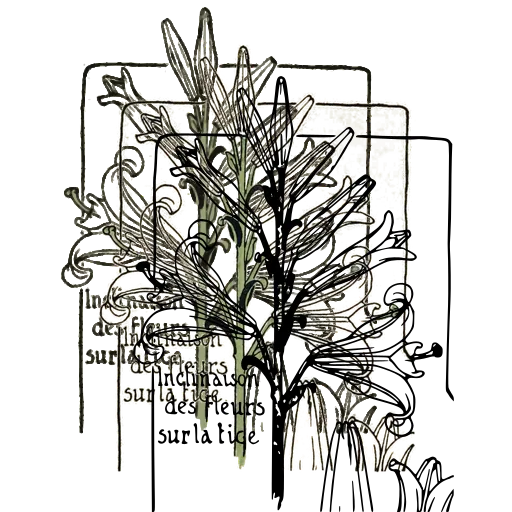 Lily stem plate