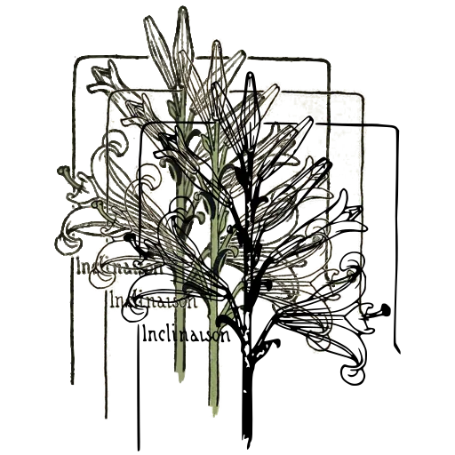 Lily stem plate