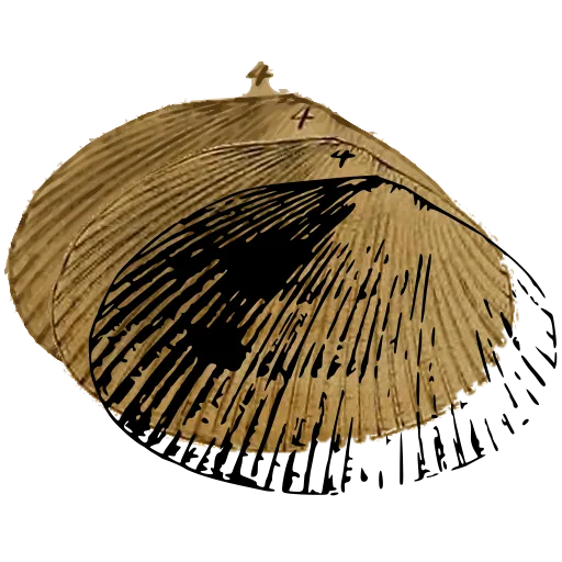 Ribbed clam shell 01