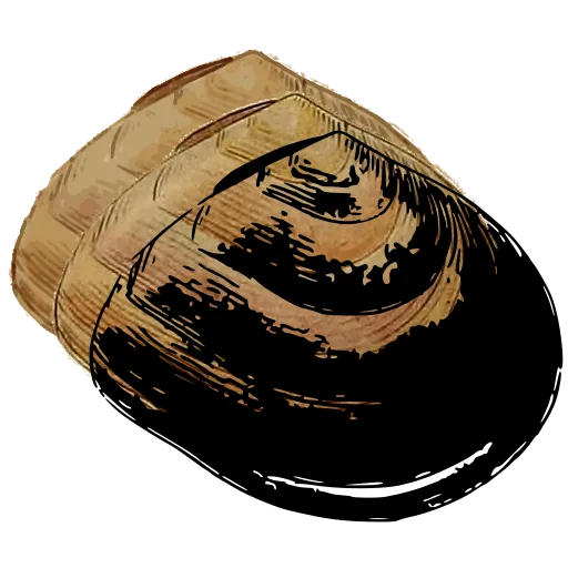 Smooth clam shell