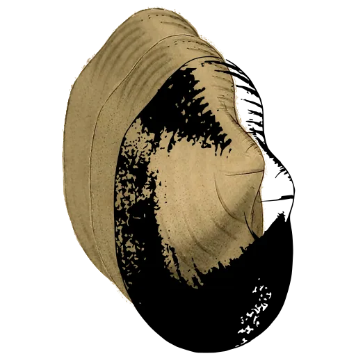 Smooth bivalve shell 04