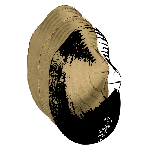 Smooth bivalve shell 04