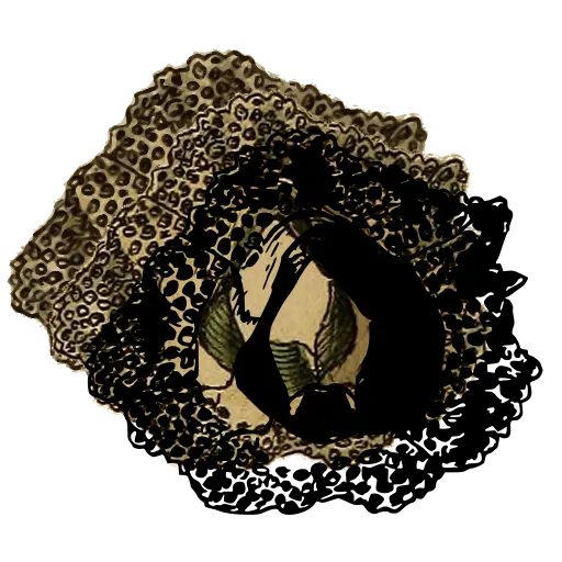Encrusted shell ring